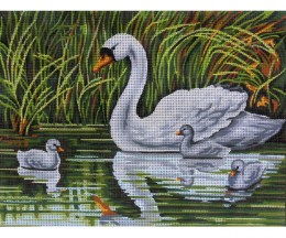 Printed canvas, Swan with cygnets - 40x50cm - ART-40.136
